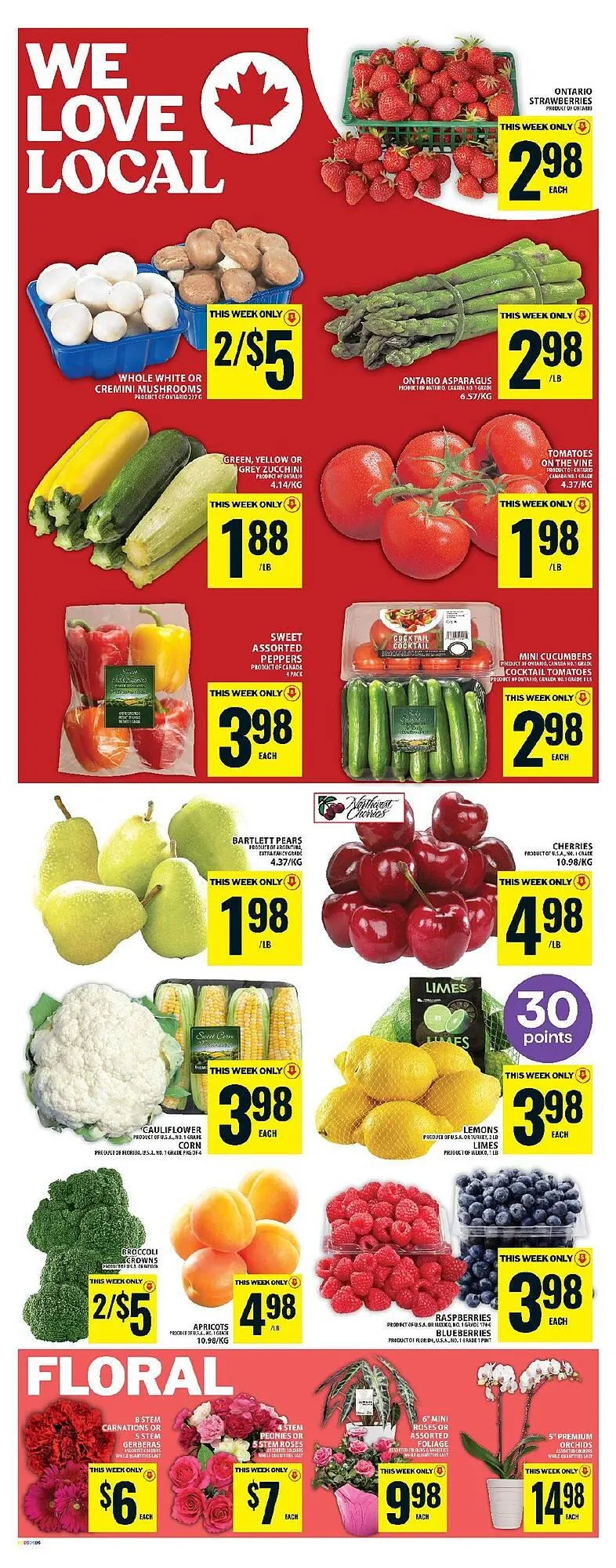 Food Basics flyer from June 19 to June 25 2025 - flyer page 10