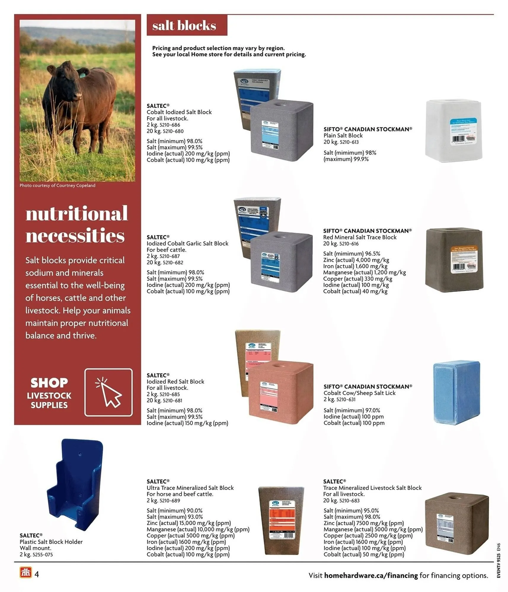 Home Hardware flyer from June 19 to June 25 2025 - flyer page 4