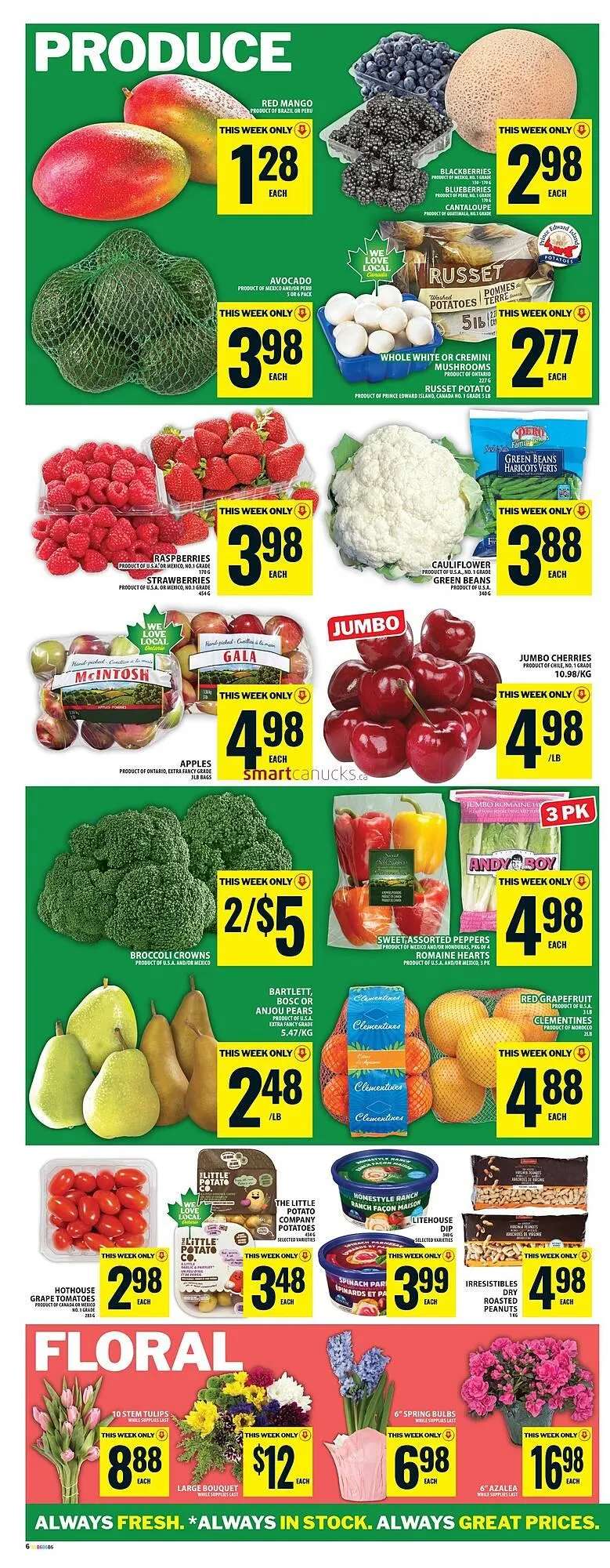 Food Basics flyer from January 22 to January 28 2026 - flyer page 9