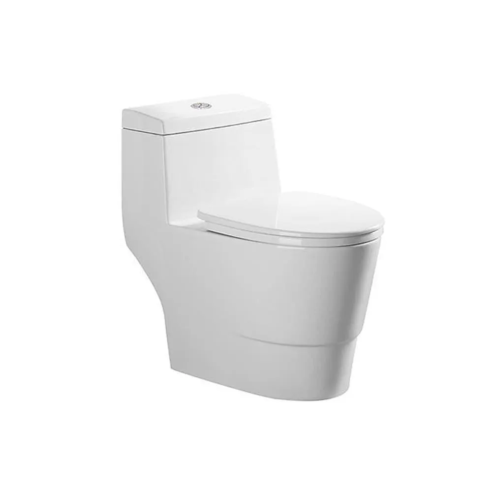 Thor One-Piece, Elongated, Dual-Flush Toilet in White