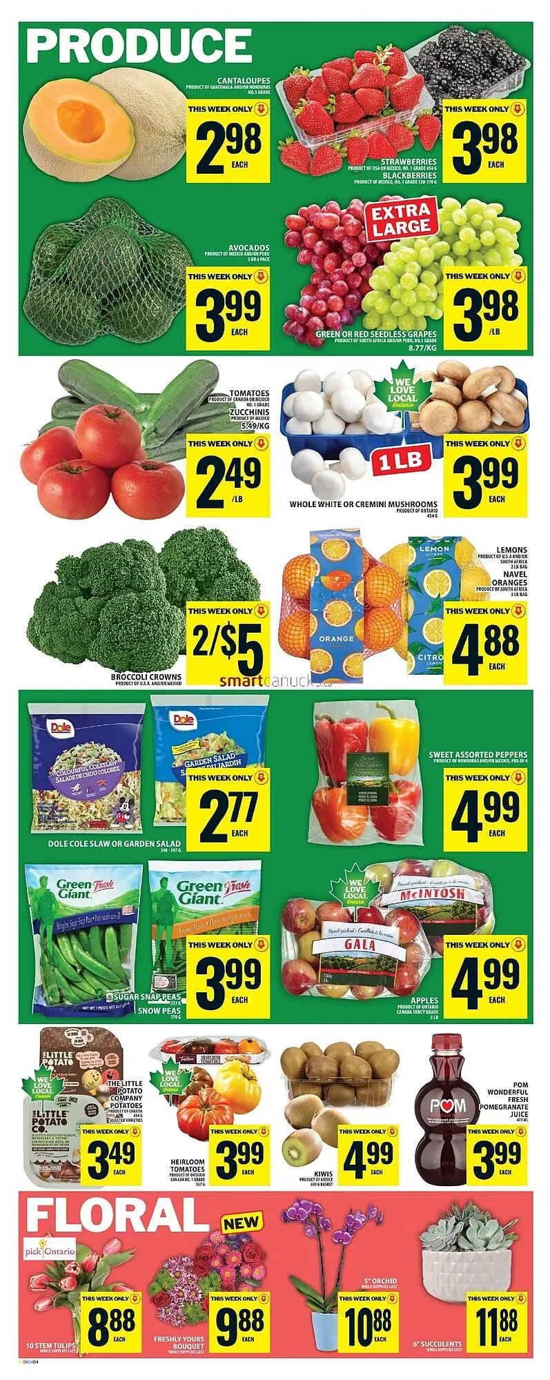Food Basics flyer from February 26 to March 4 2026 - flyer page 7