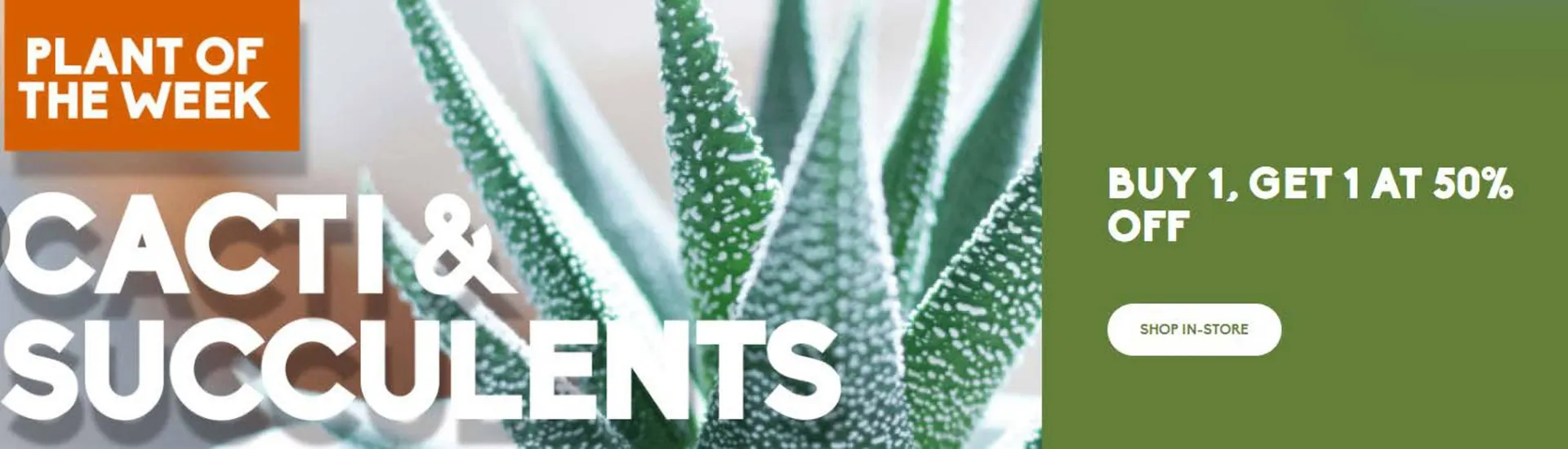 Sheridan Nurseries flyer from March 13 to March 29 2026 - flyer page 2