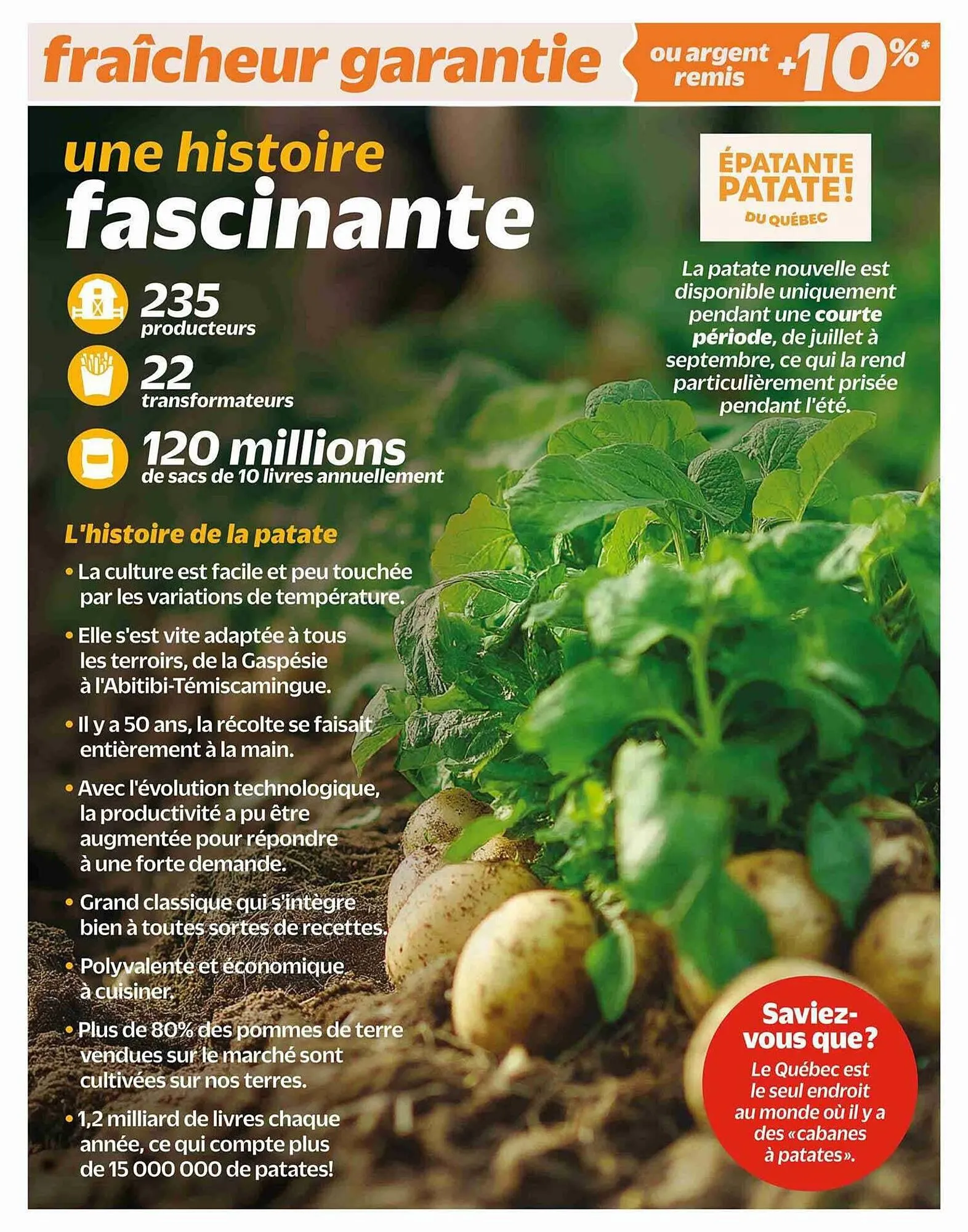 Metro flyer from November 20 to November 27 2024 - flyer page 6