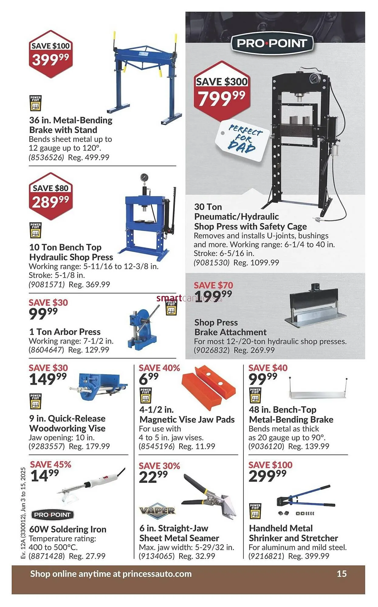 Princess Auto flyer from May 28 to June 3 2025 - flyer page 29