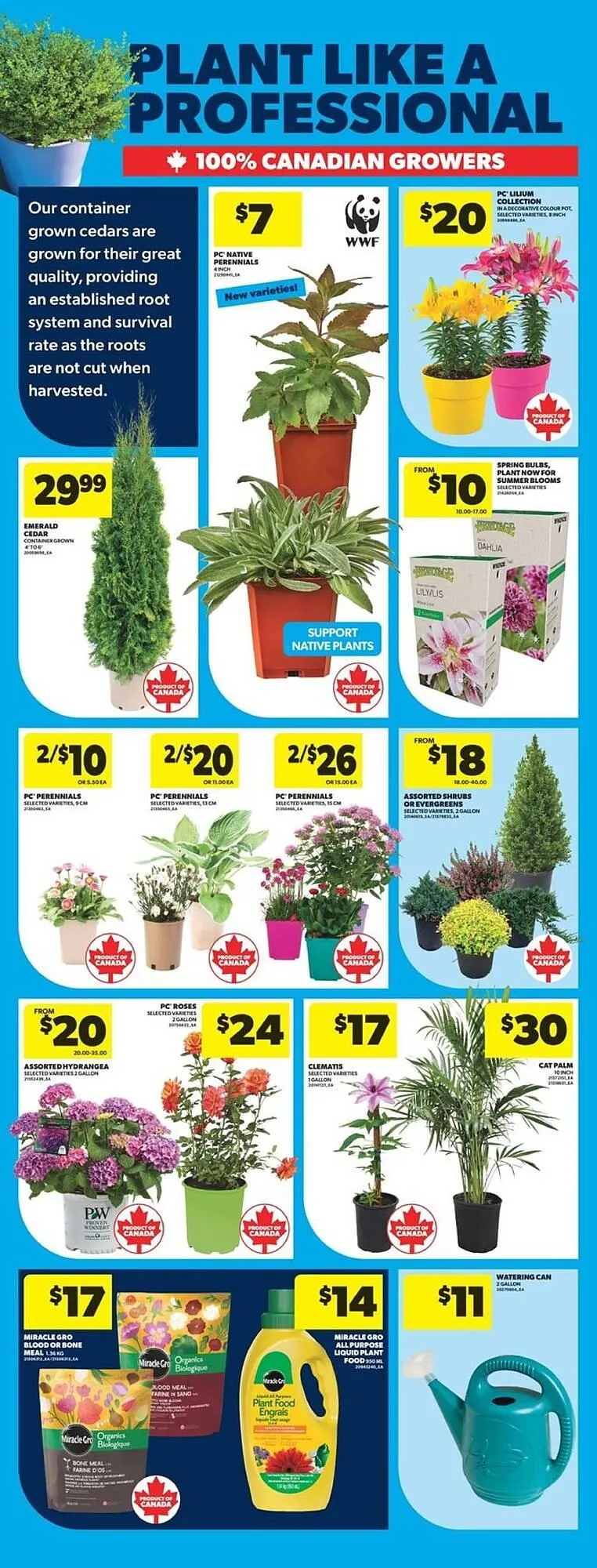 Real Canadian Superstore flyer from May 1 to May 8 2025 - flyer page 14
