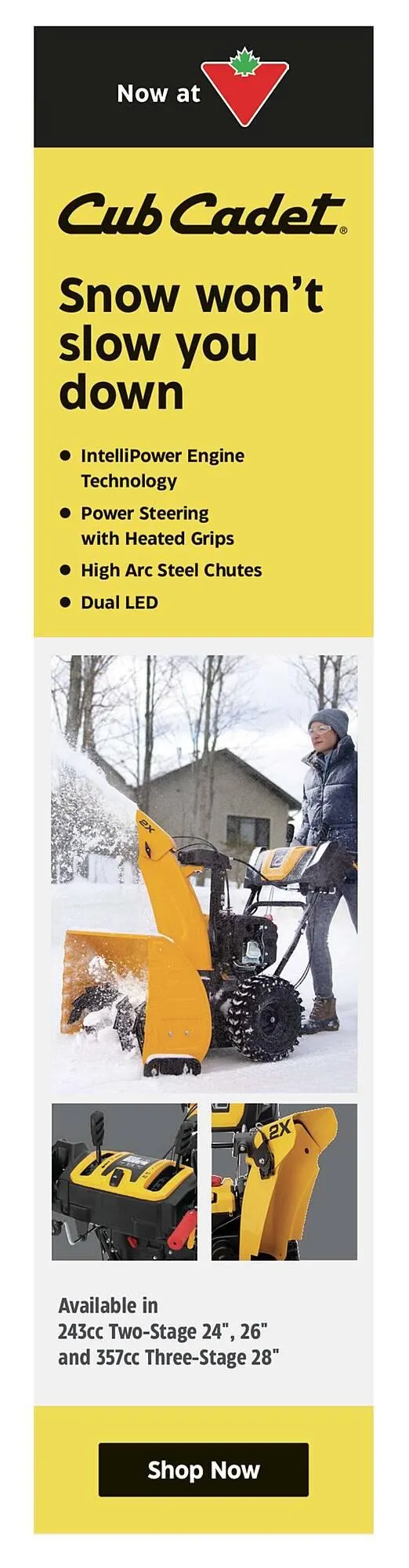 Canadian Tire flyer from October 16 to November 6 2025 - flyer page 10