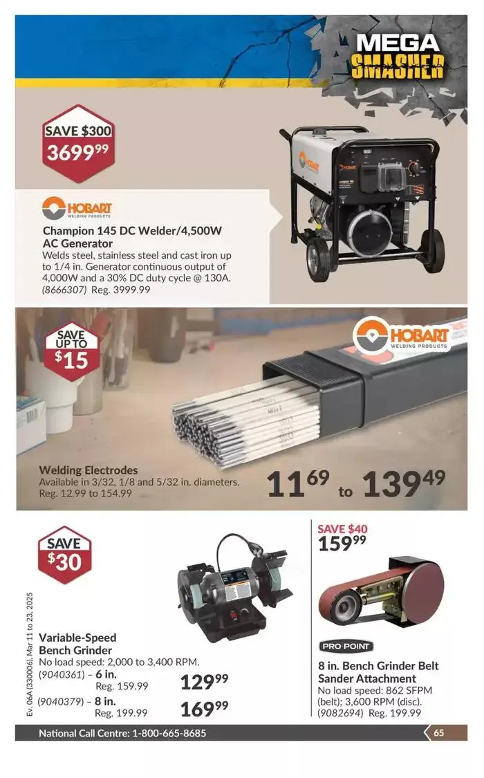National Sale from March 11 to March 23 2025 - flyer page 70
