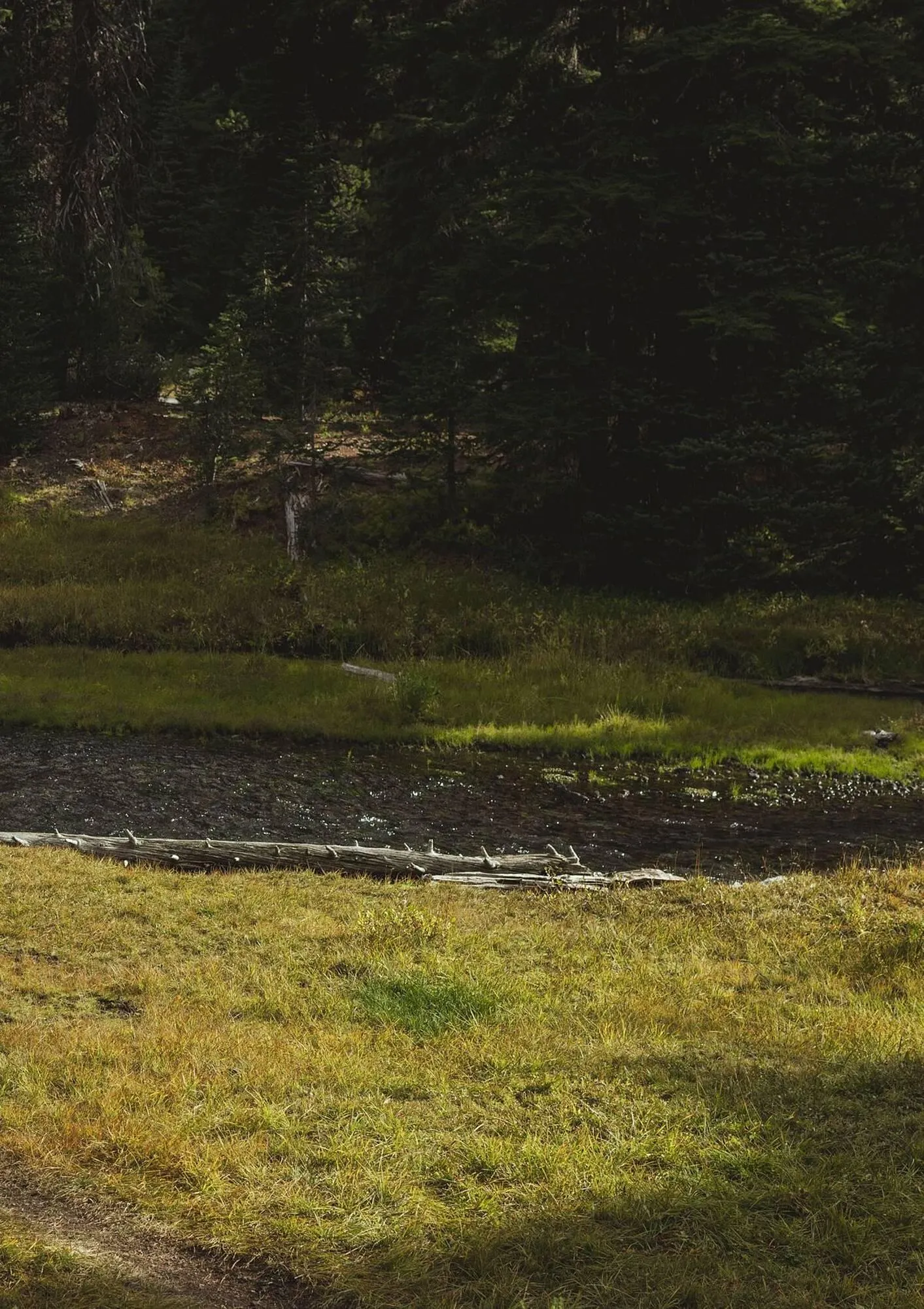 Helly Hansen flyer from March 12 to May 31 2026 - flyer page 203