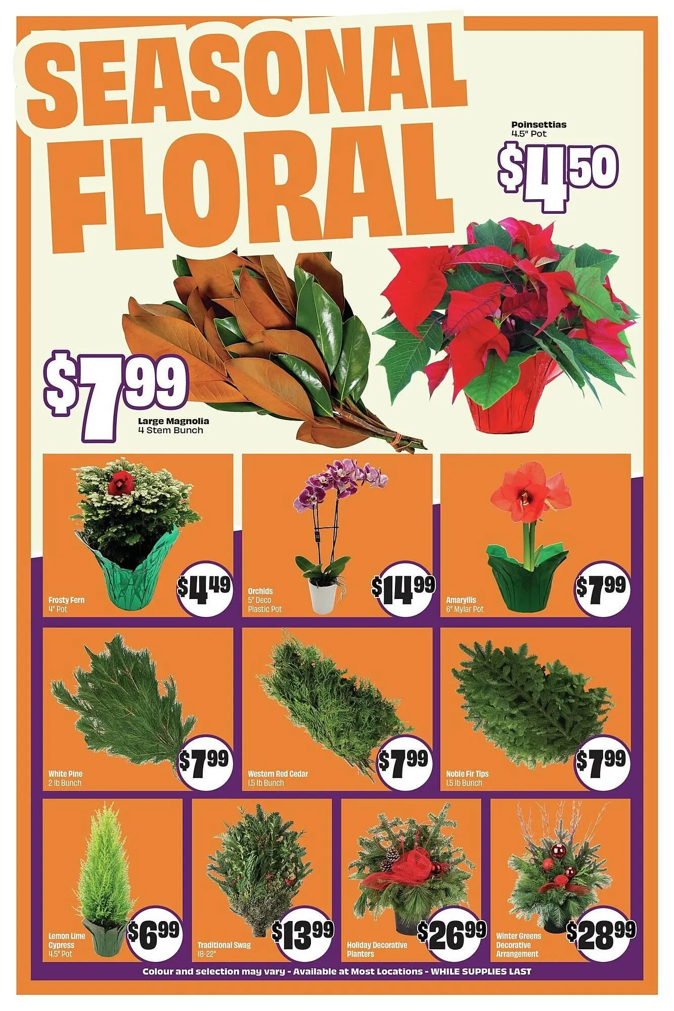 FreshCo flyer from November 20 to November 27 2025 - flyer page 5