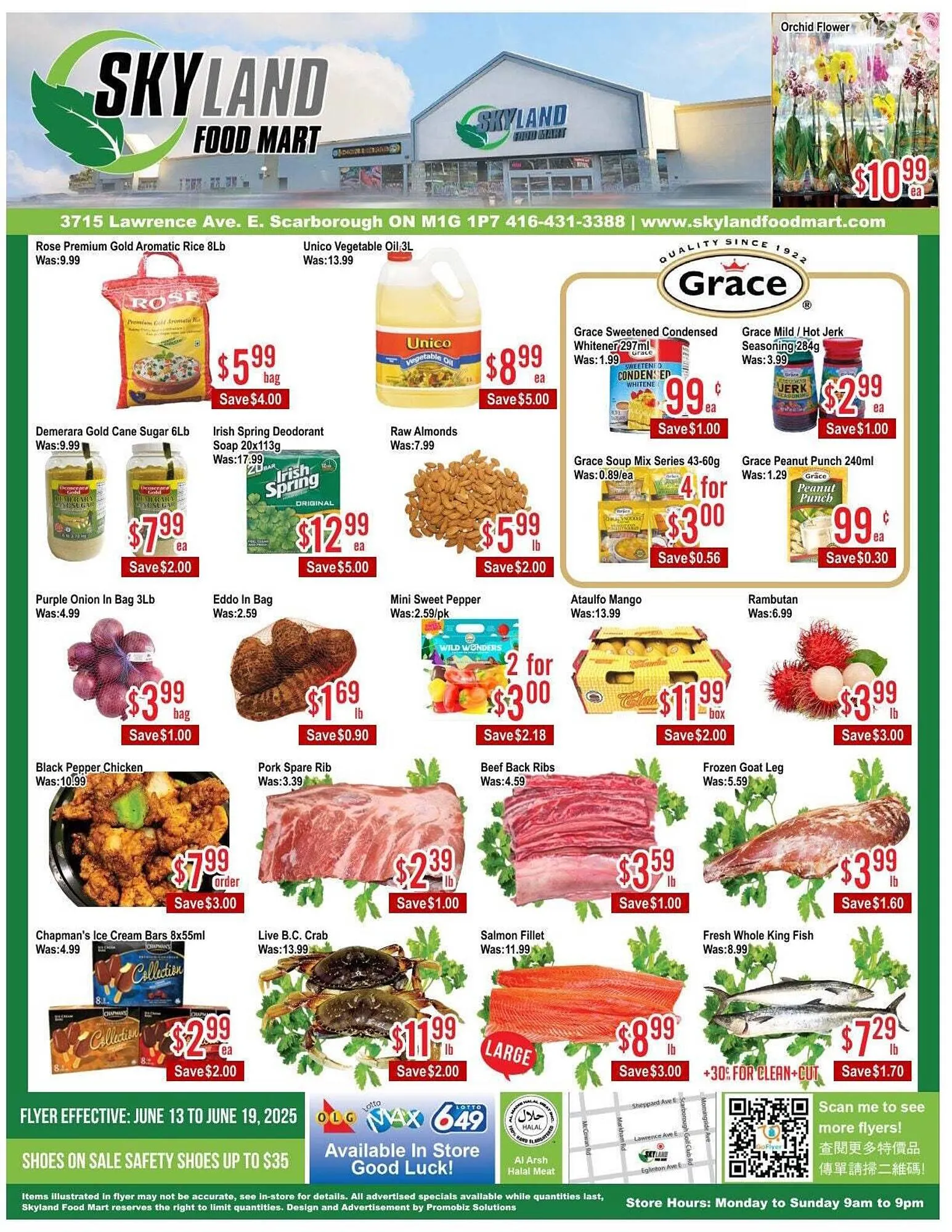Skyland Foodmart flyer - 1