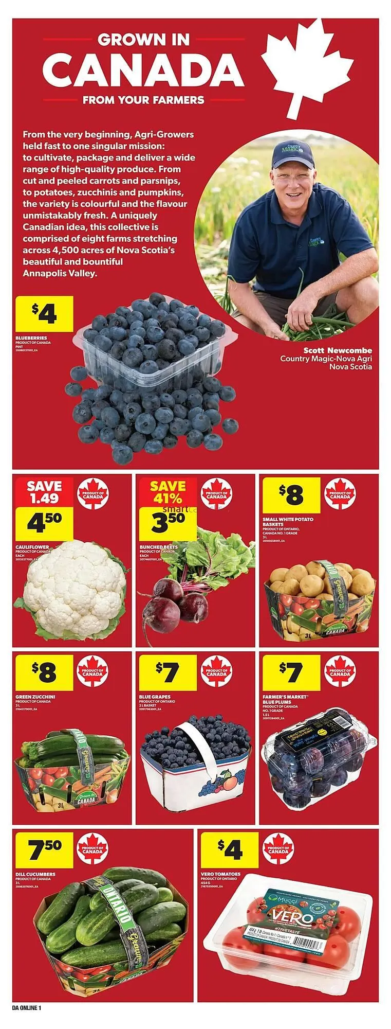 Dominion flyer from August 14 to August 20 2025 - flyer page 8