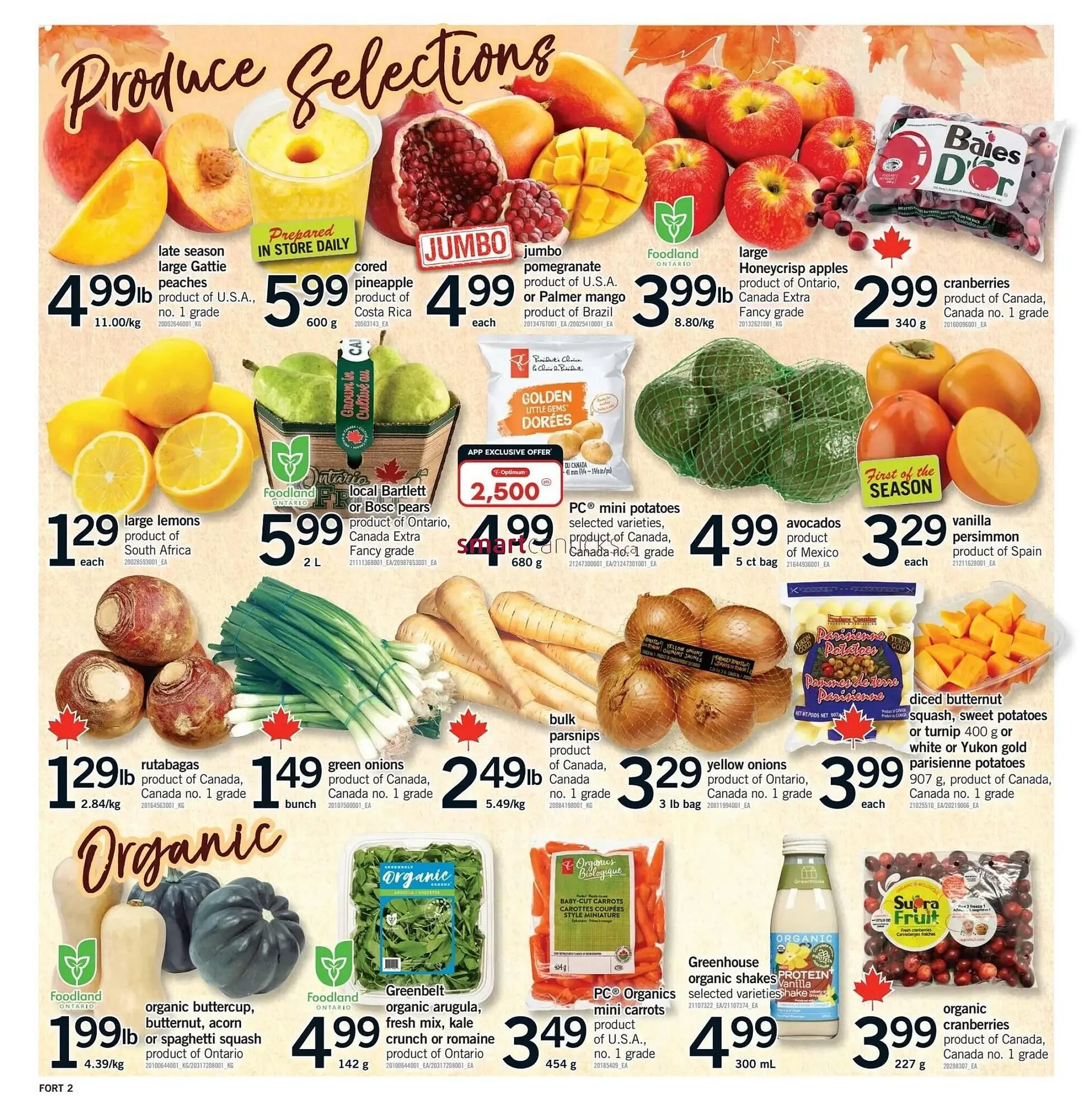 Fortinos flyer from October 2 to October 8 2025 - flyer page 3