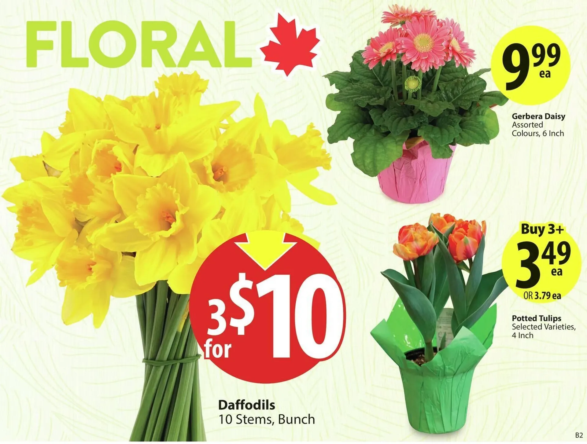 Save on Foods flyer from March 27 to April 3 2025 - flyer page 4