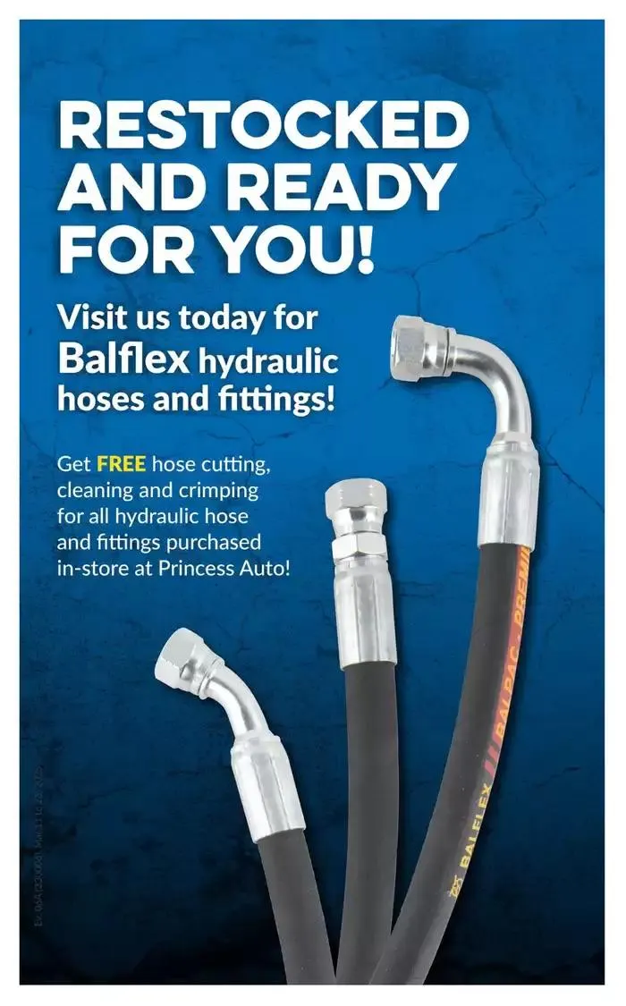 National Sale from March 11 to March 23 2025 - flyer page 84