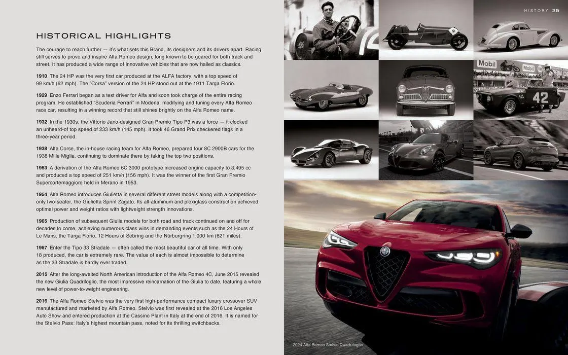 Alfa Romeo 2024 Stelvio from January 9 to January 9 2025 - flyer page 25