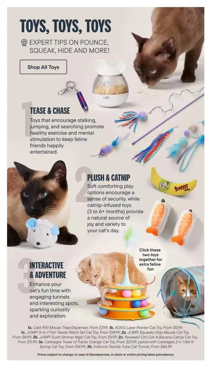 Devoted Cat Parent Guide from March 3 to March 31 2025 - flyer page 19