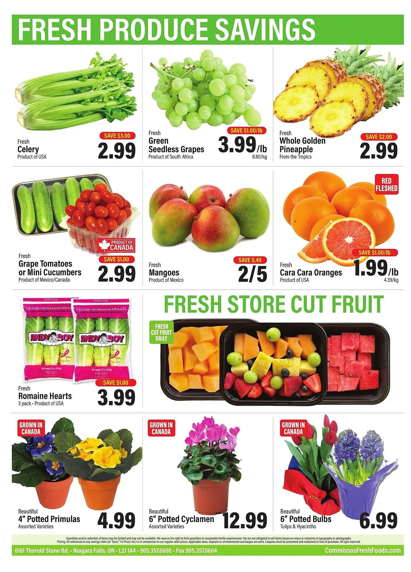 Commisso's Fresh Foods flyer from January 22 to January 28 2026 - flyer page 11