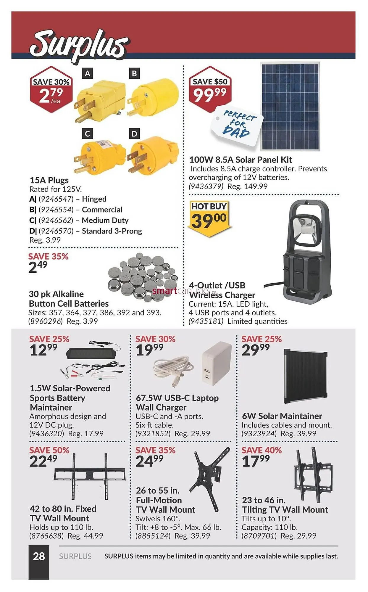Princess Auto flyer from May 28 to June 3 2025 - flyer page 43
