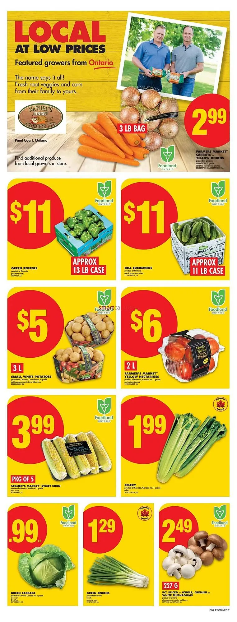 No Frills flyer from August 14 to August 20 2025 - flyer page 4