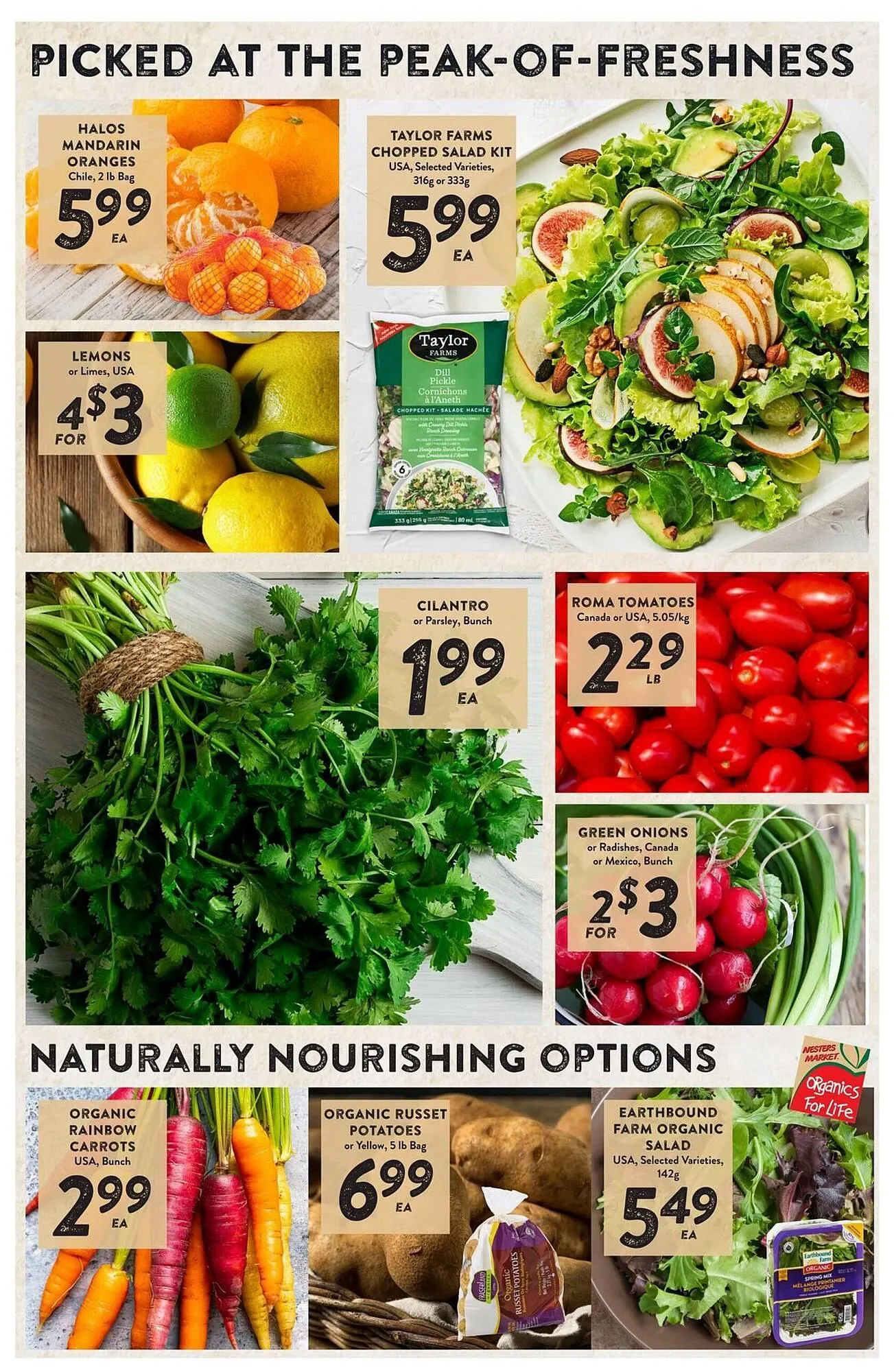 Nesters Market flyer from February 5 to February 11 2026 - flyer page 3