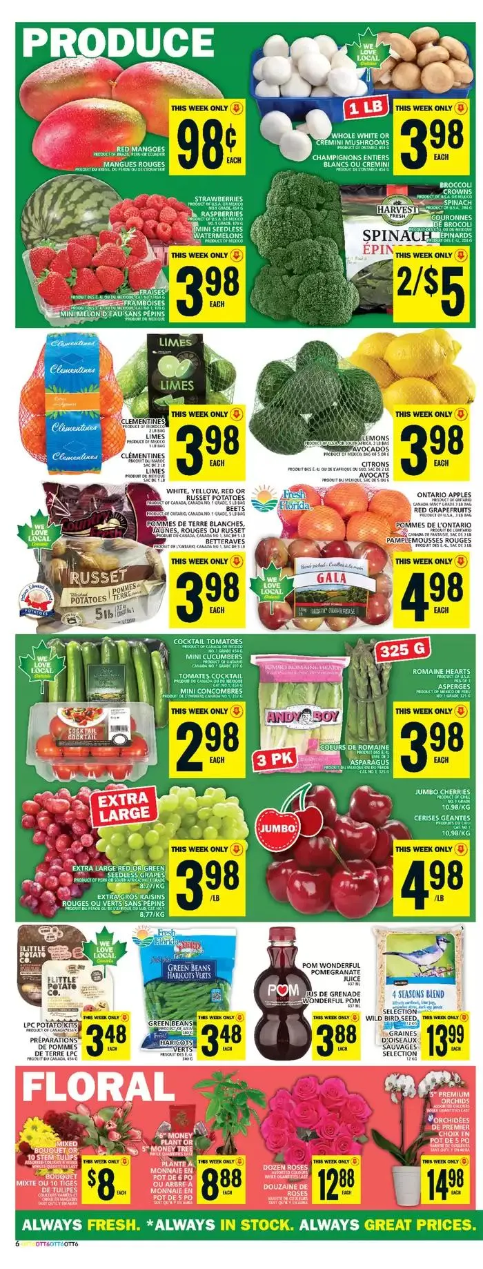 Exclusive bargains from January 23 to January 29 2025 - flyer page 12
