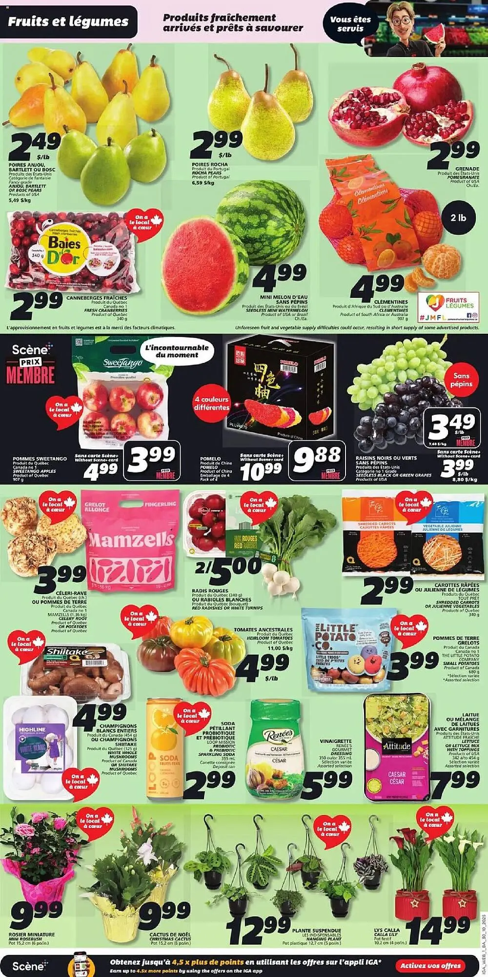 IGA flyer from October 30 to November 5 2025 - flyer page 3