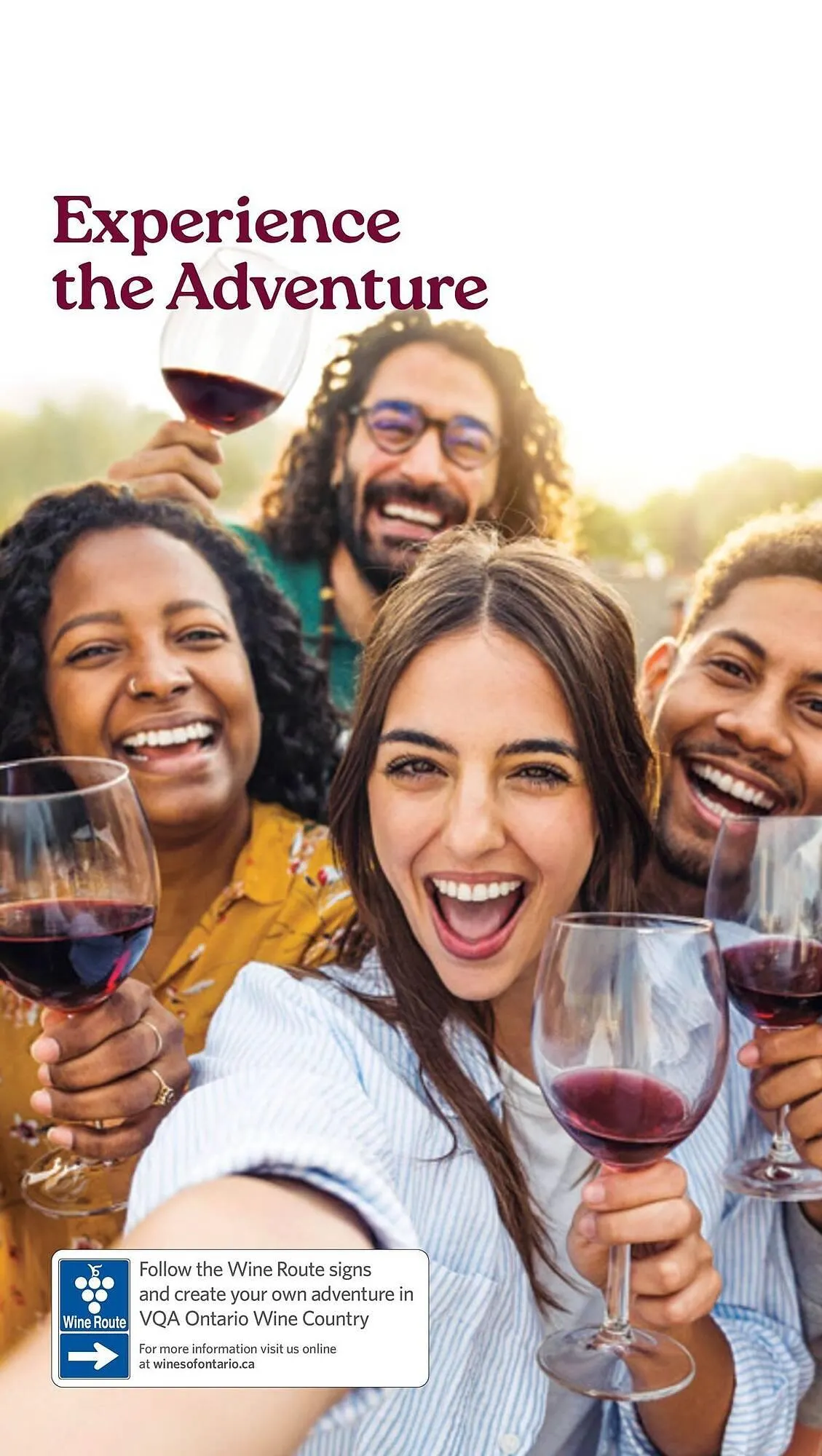 LCBO flyer from May 9 to May 15 2025 - flyer page 216