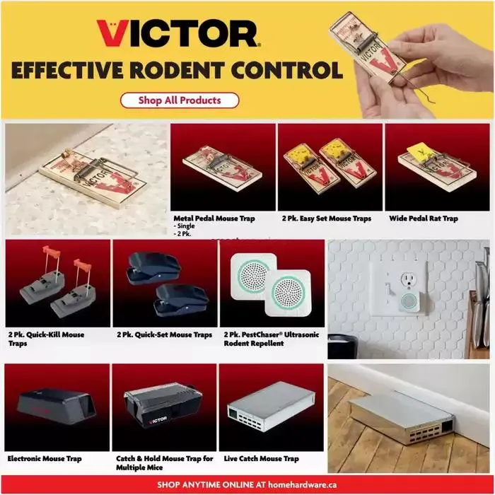 Our best bargains from October 10 to October 16 2024 - flyer page 2