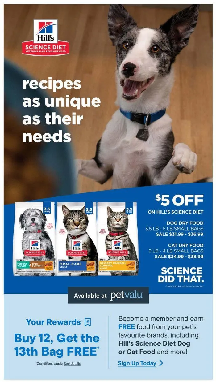 Anniversary Sale from September 23 to October 2 2024 - flyer page 12