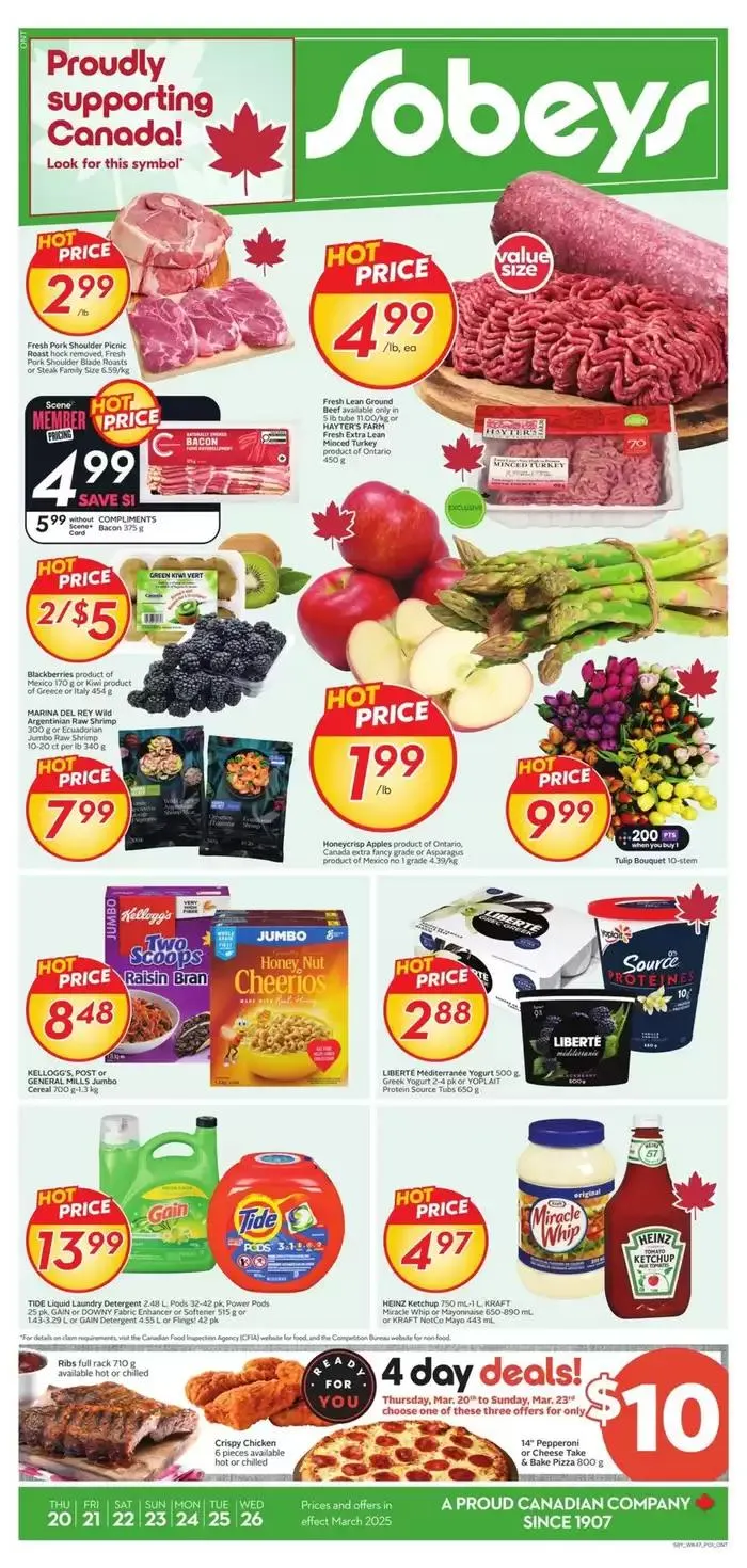 Top offers for all bargain hunters from March 20 to March 26 2025 - flyer page 1