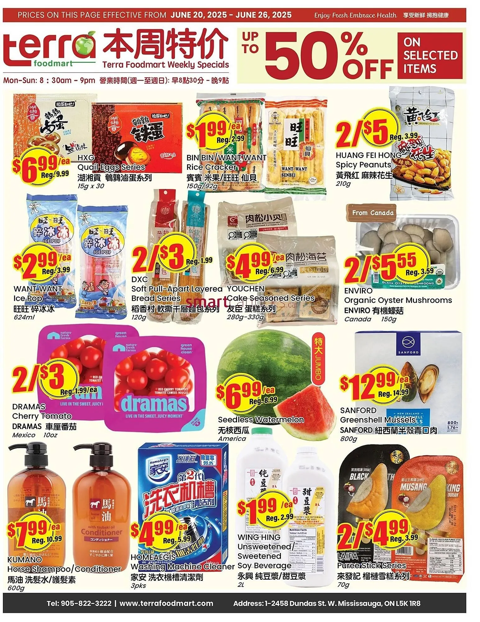 Terra Foodmart flyer - 1