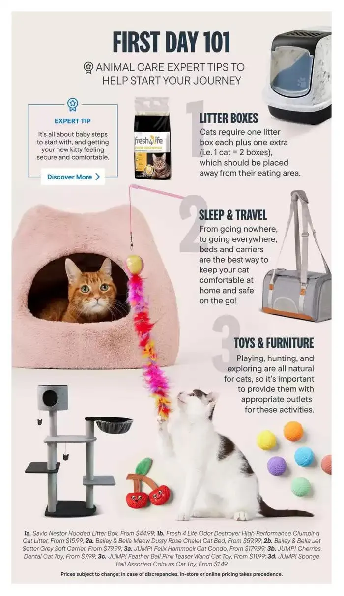 Devoted Cat Parent Guide from March 3 to March 31 2025 - flyer page 6