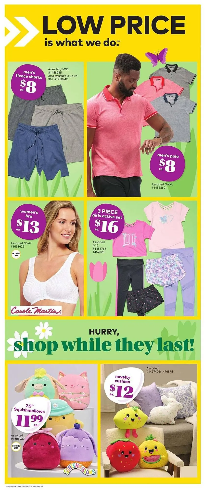 Giant Tiger flyer from April 10 to April 24 2025 - flyer page 5