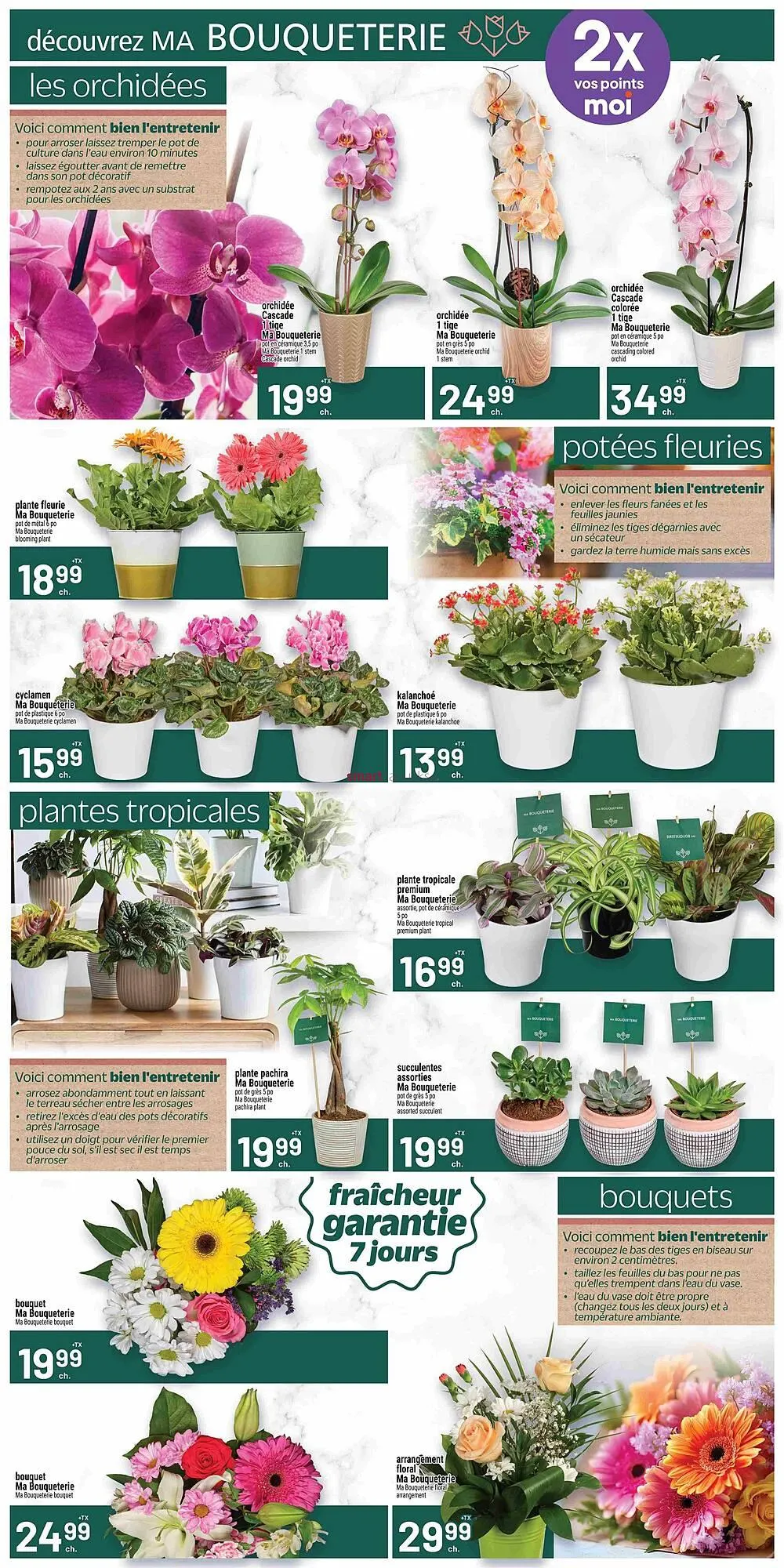 Metro flyer from January 29 to February 4 2026 - flyer page 8