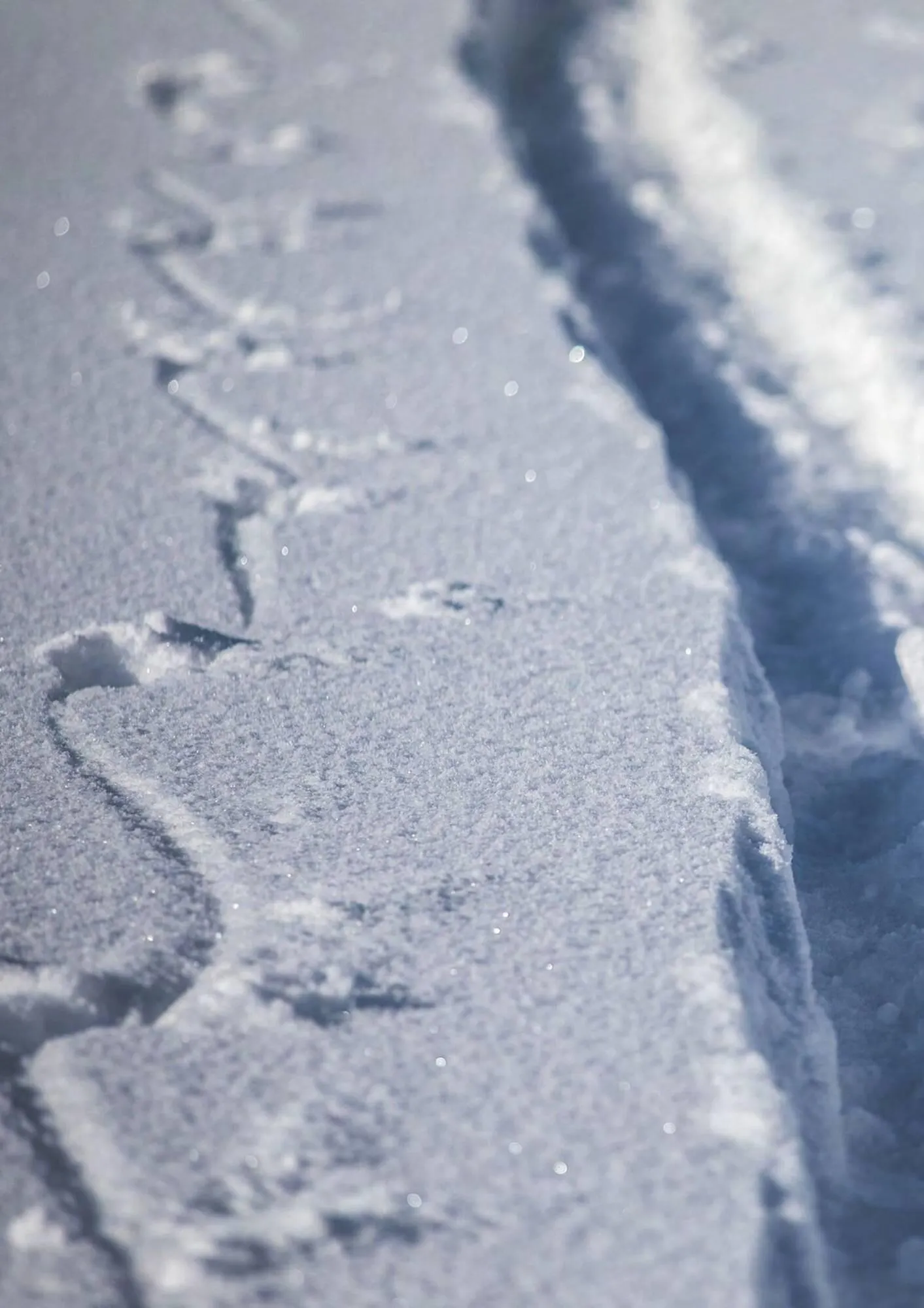 Helly Hansen flyer from September 11 to February 28 2026 - flyer page 140