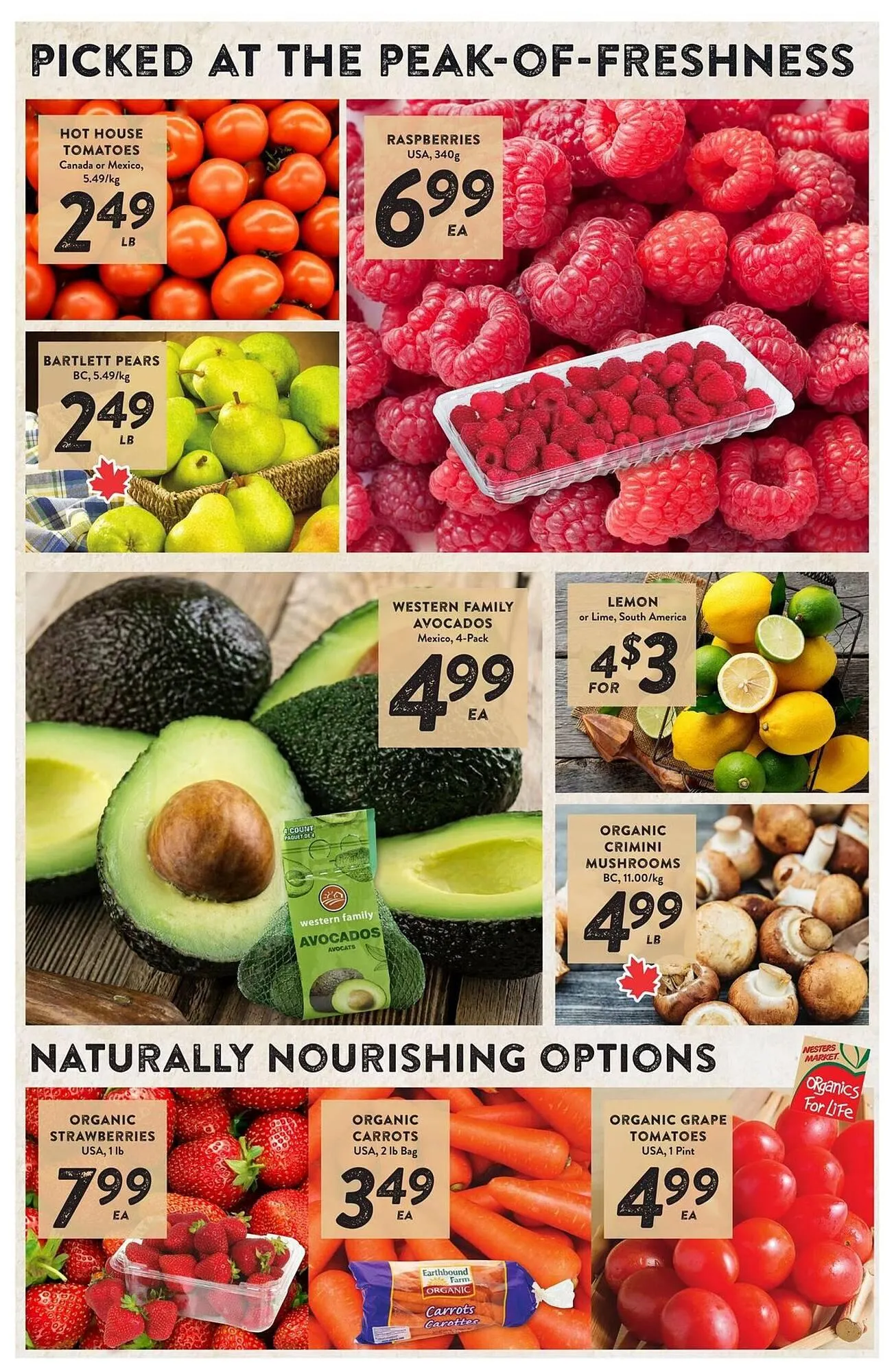 Nesters Market flyer from October 31 to November 20 2025 - flyer page 2