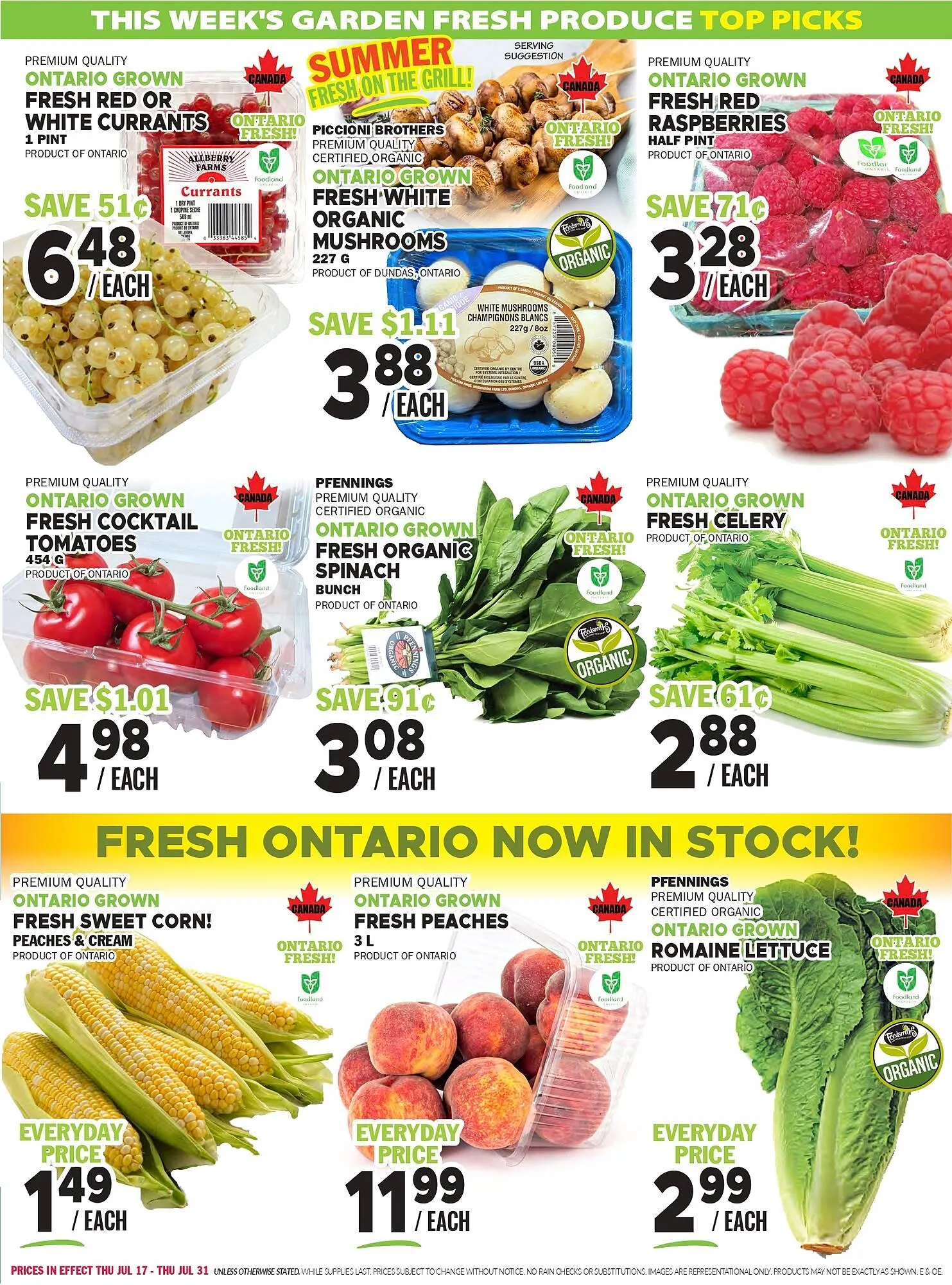 Foodsmiths flyer from July 17 to July 23 2025 - flyer page 3