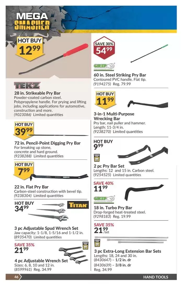 National Sale from March 11 to March 23 2025 - flyer page 51