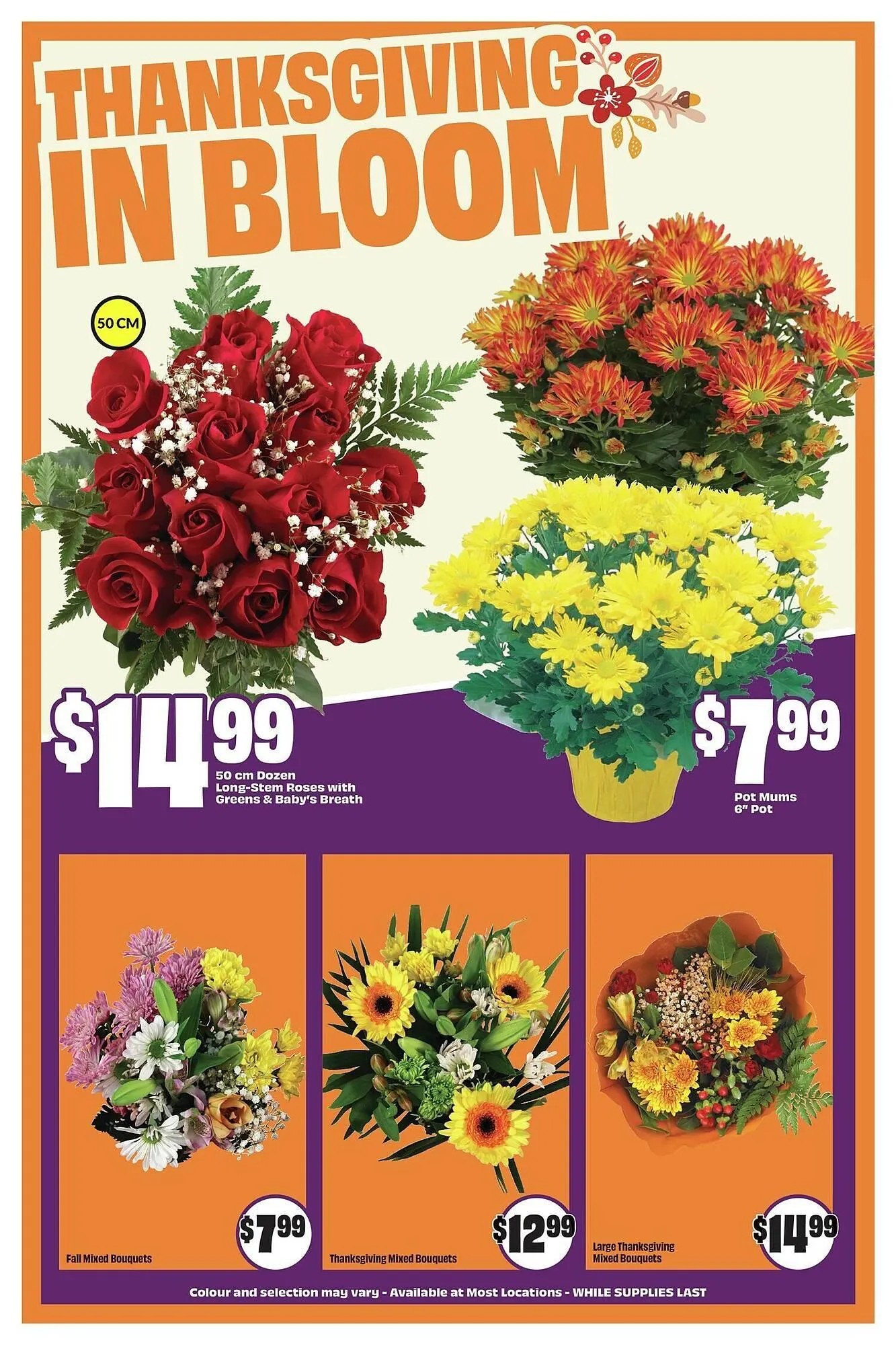 FreshCo flyer from October 9 to October 23 2025 - flyer page 6