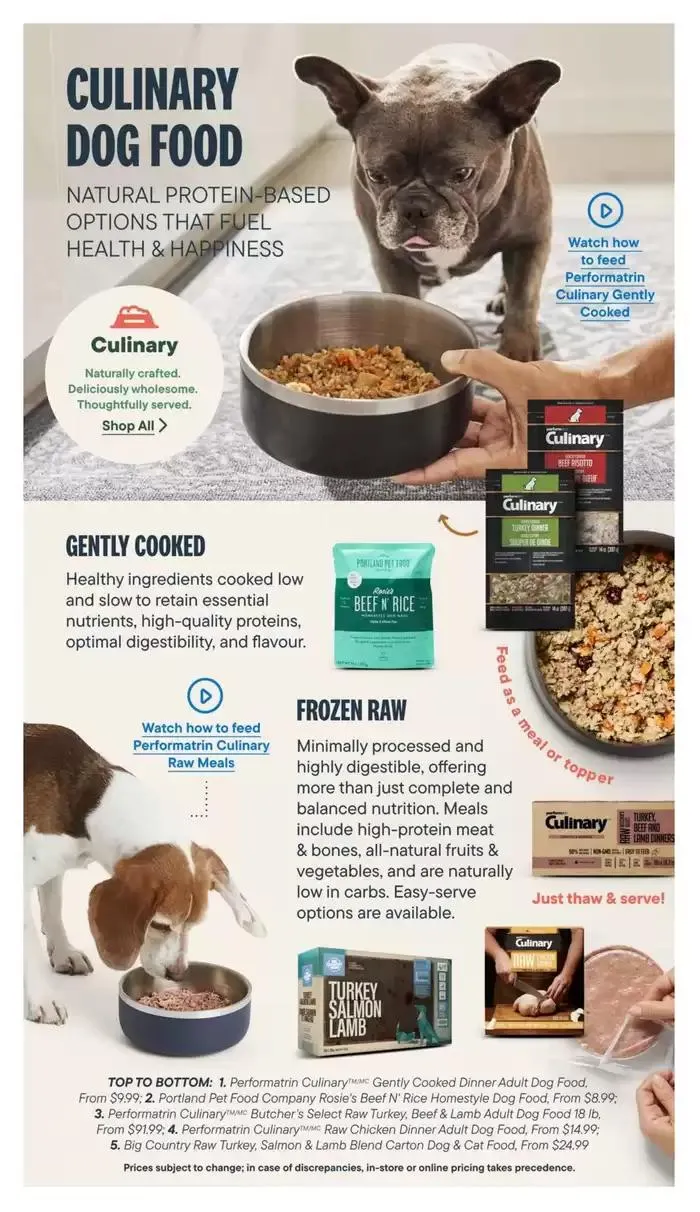 Devoted Dog Parent Guide from February 13 to February 28 2025 - flyer page 11