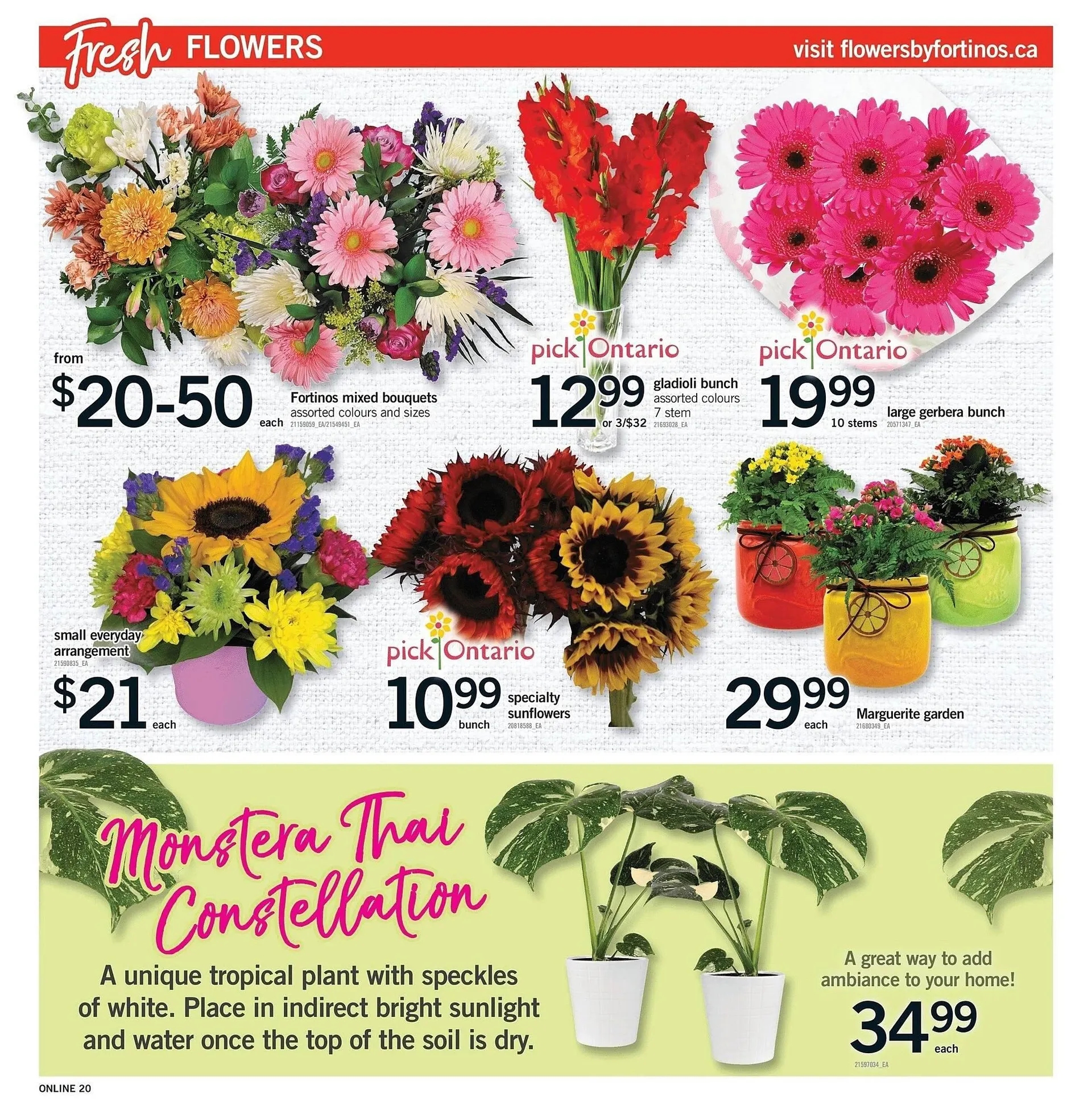 Fortinos flyer from July 17 to July 23 2025 - flyer page 19