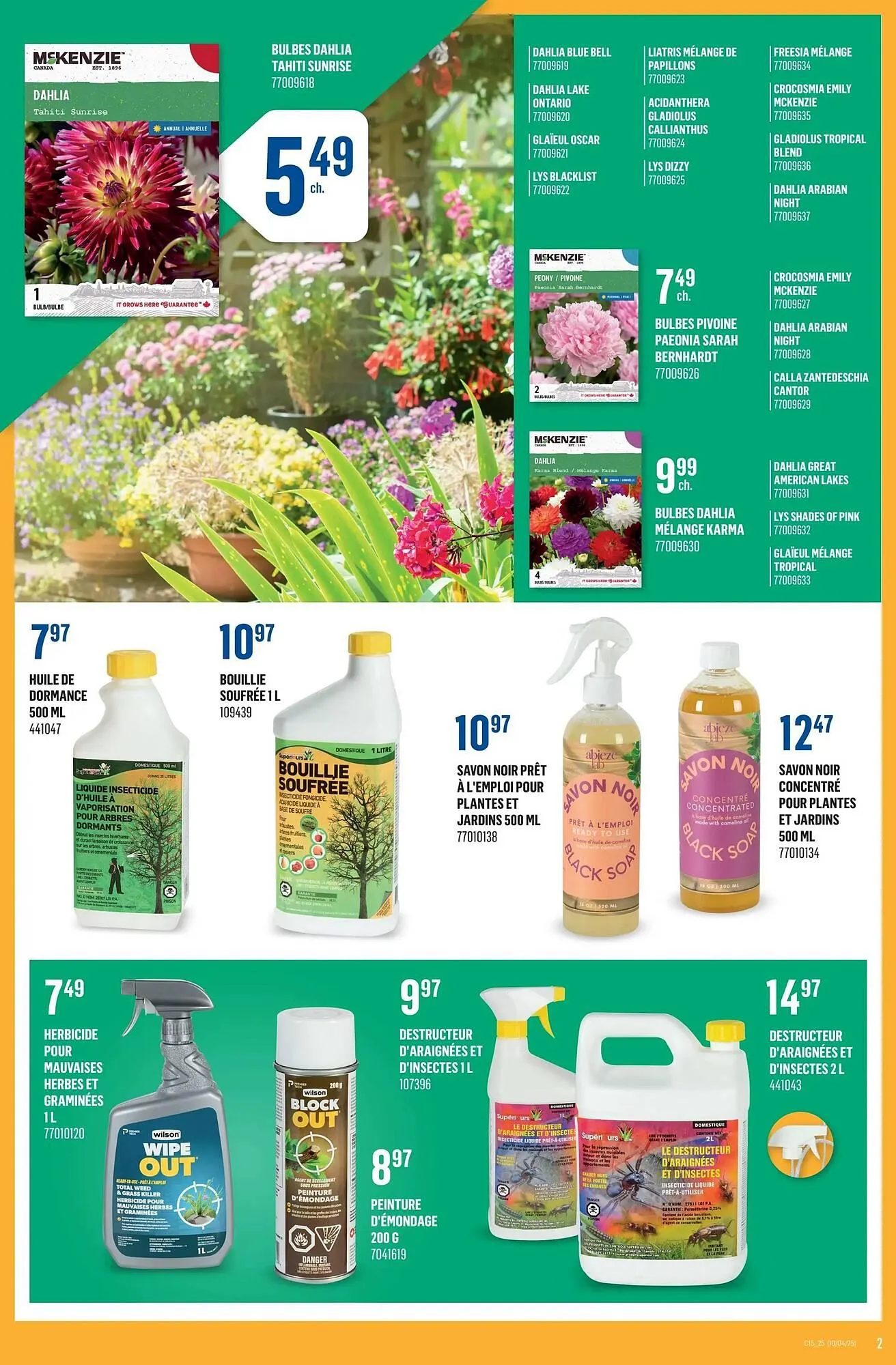 Canac flyer from April 10 to April 16 2025 - flyer page 2