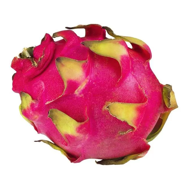 Dragon Fruit