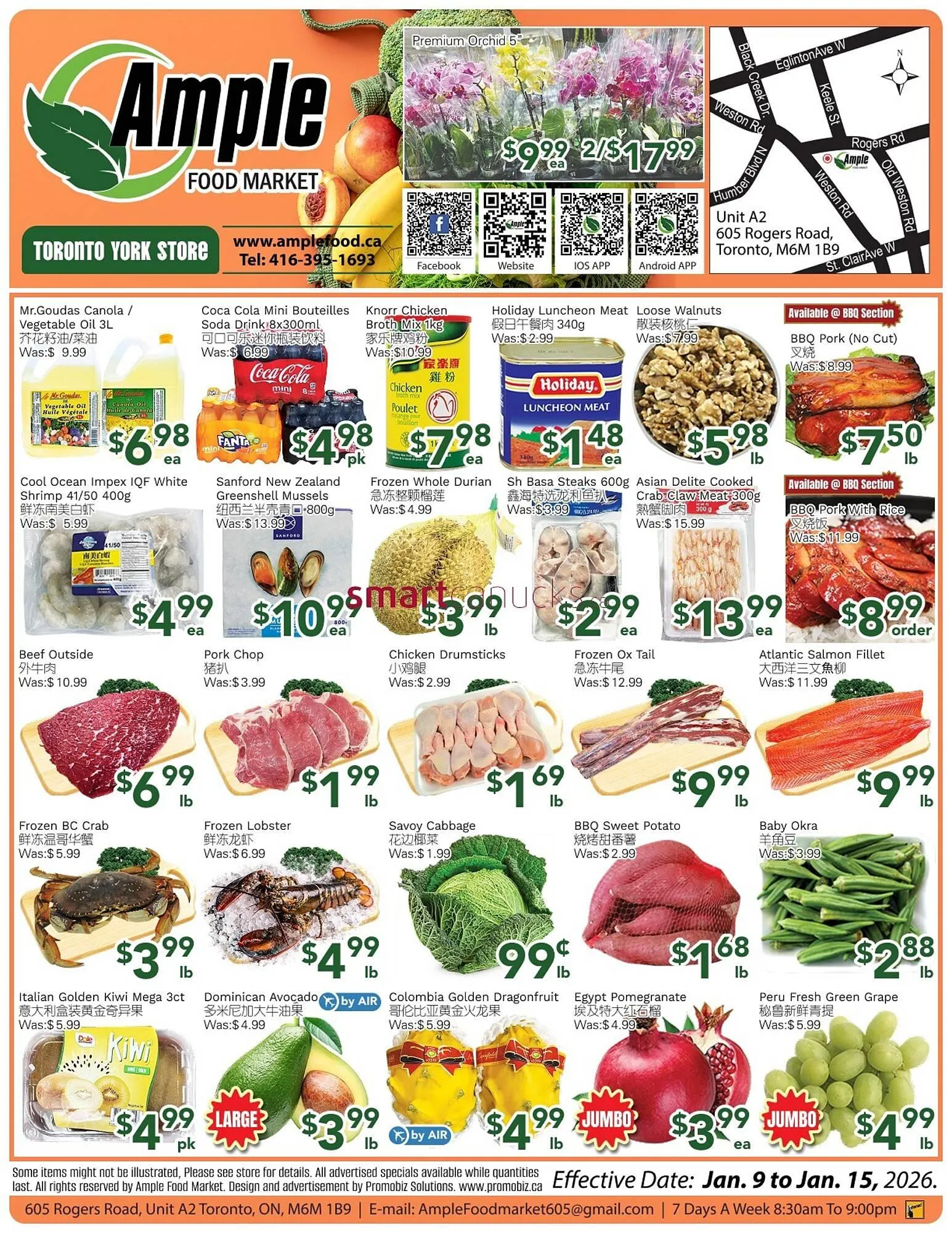 Ample Food Market flyer from January 9 to January 15 2026 - flyer page 1