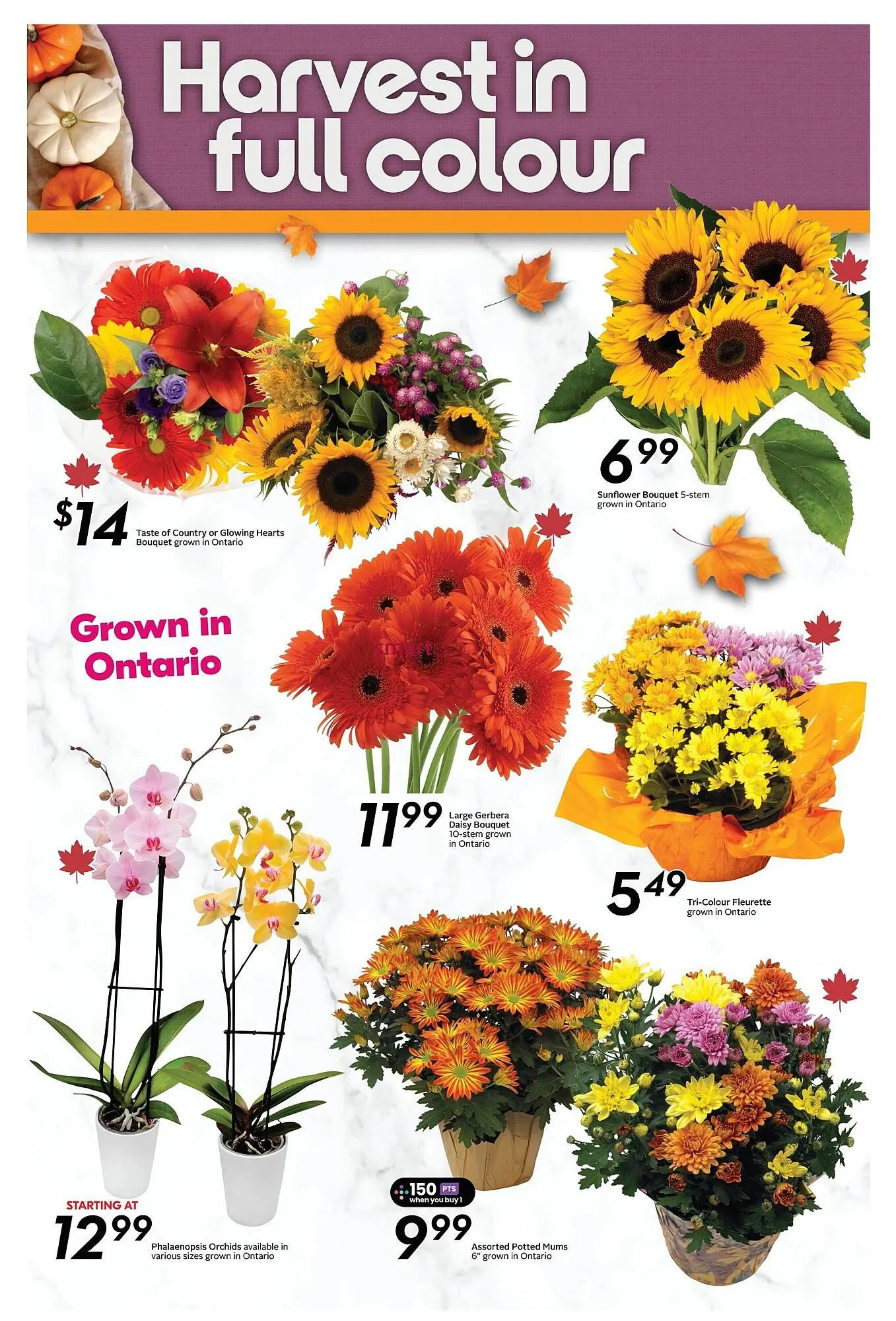 Sobeys flyer from October 3 to October 9 2025 - flyer page 19