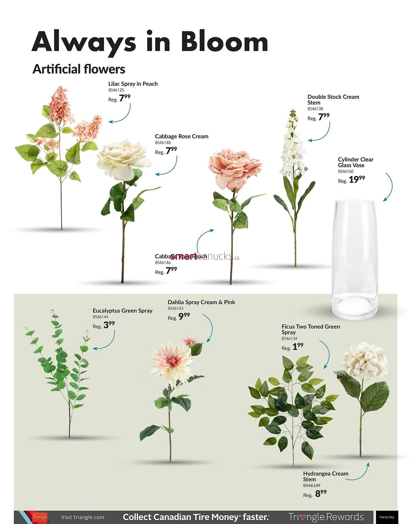 Party City flyer from September 5 to September 11 2025 - flyer page 41