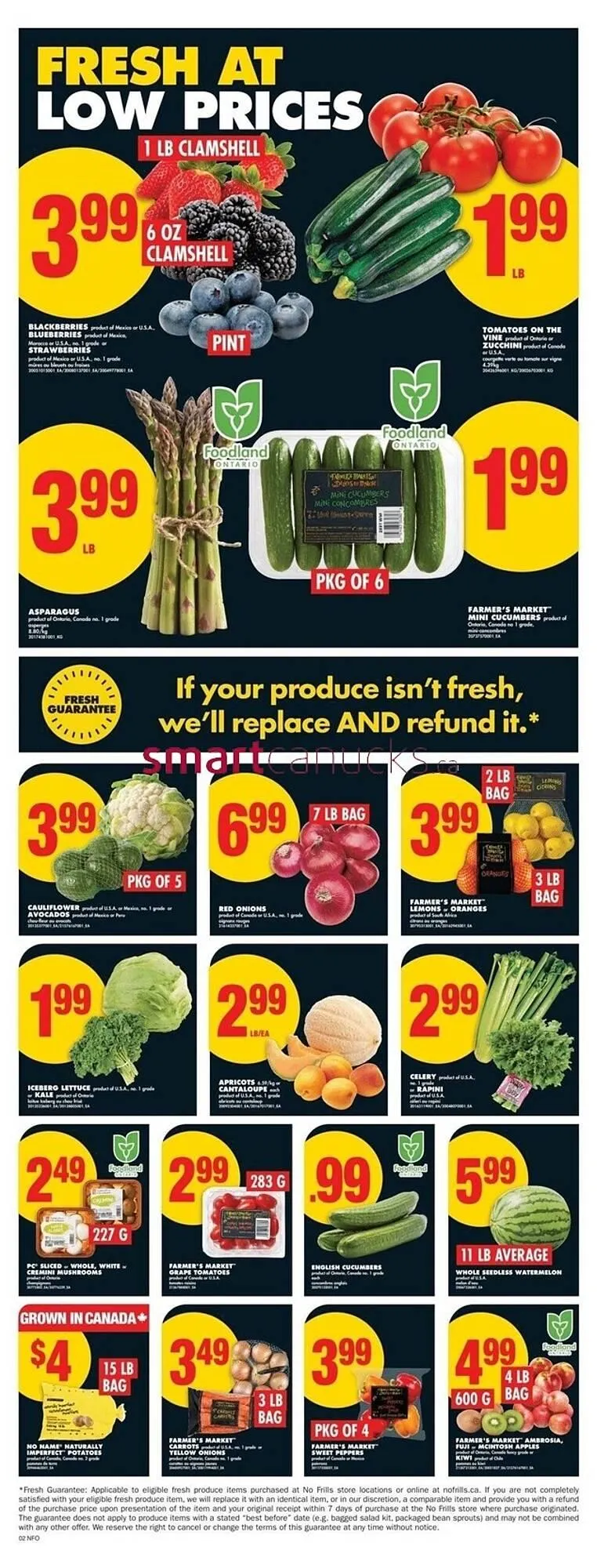 No Frills flyer from June 19 to July 2 2025 - flyer page 4