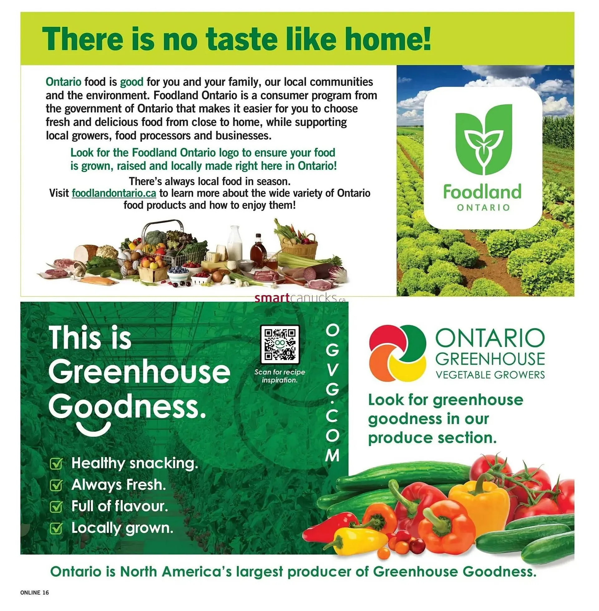 Fortinos flyer from August 8 to August 14 2024 - flyer page 19