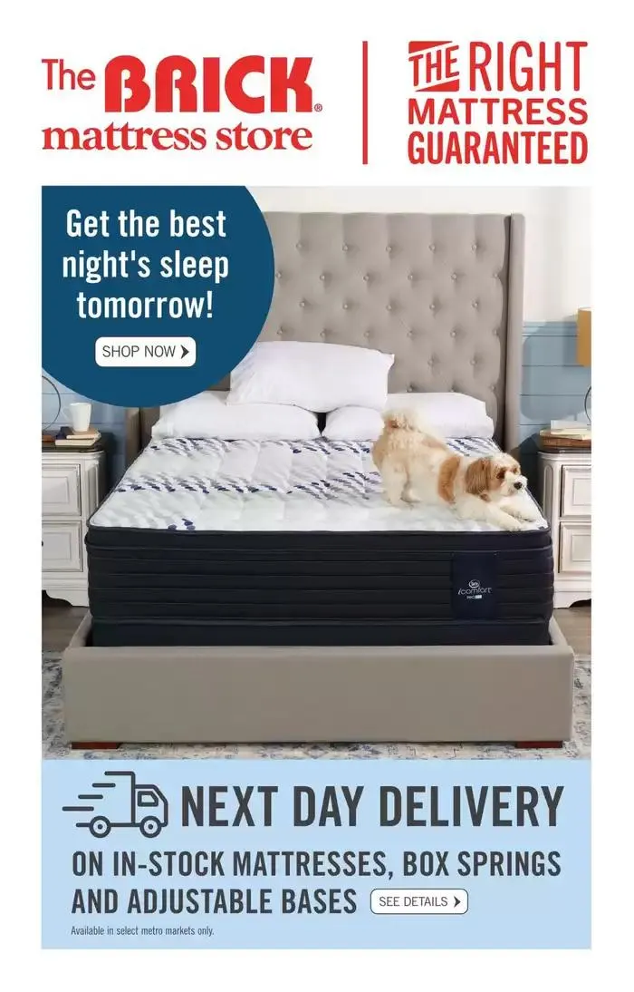 Attractive special offers for everyone from October 11 to October 23 2024 - flyer page 9