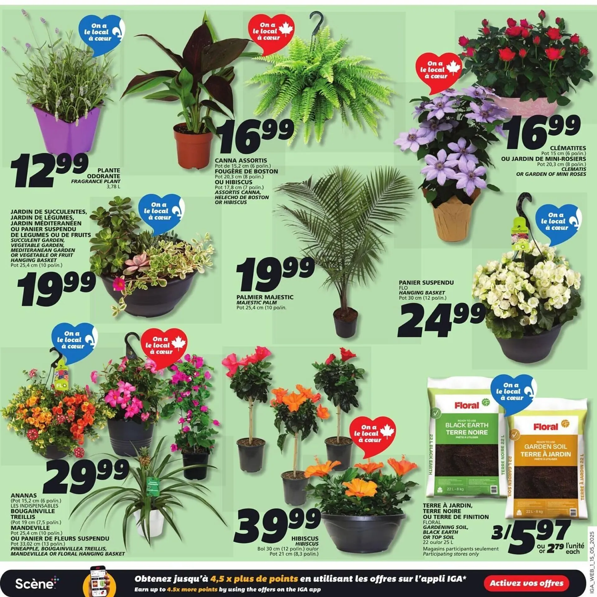 IGA flyer from May 14 to May 21 2025 - flyer page 11